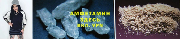 сатива Баксан
