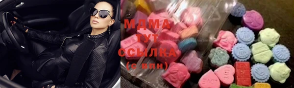 стаф Алзамай