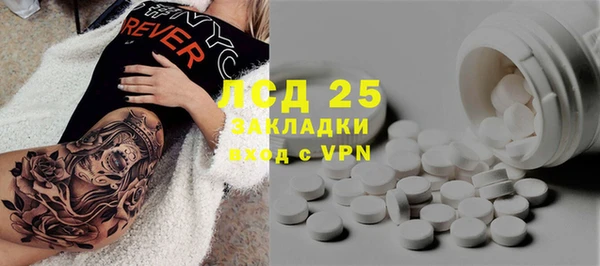 спайс Аркадак