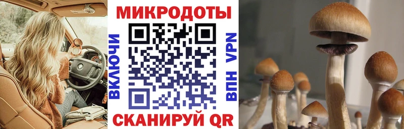 мега ТОР Валдай Галлюциногенные грибы MAGIC MUSHROOMS где найти